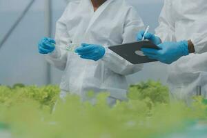 Man and woman use a test tube and a pipette while working in a greenhouse. photo