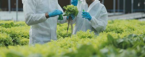 Man and woman use a test tube and a pipette while working in a greenhouse. photo