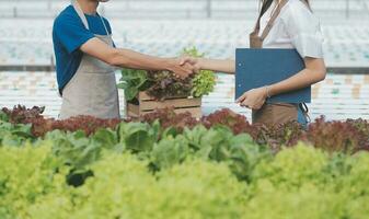 Organic farm ,Worker testing and collect environment data from bok choy organic vegetable at greenhouse farm garden. photo