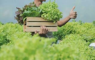 orgánico granja ,obrero pruebas y recoger ambiente datos desde bok choy orgánico vegetal a invernadero granja jardín. foto