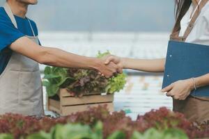 Organic farm ,Worker testing and collect environment data from bok choy organic vegetable at greenhouse farm garden. photo