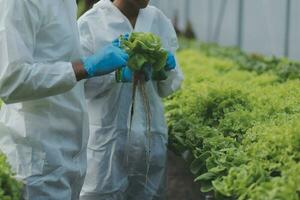 Organic farm ,Worker testing and collect environment data from bok choy organic vegetable at greenhouse farm garden. photo