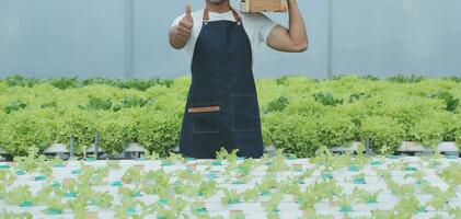 Organic farm ,Worker testing and collect environment data from bok choy organic vegetable at greenhouse farm garden. photo