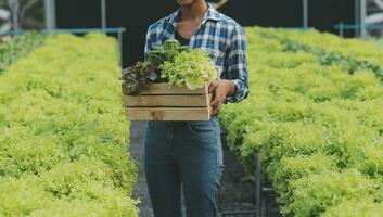 orgánico granja ,obrero pruebas y recoger ambiente datos desde bok choy orgánico vegetal a invernadero granja jardín. foto