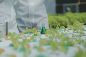 hembra científico examinando un plantas en invernadero granja. científicos participación equipo para investigación planta en orgánico granja. calidad controlar para hidroponia vegetal granja. foto