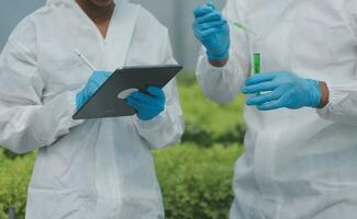 hembra científico examinando un plantas en invernadero granja. científicos participación equipo para investigación planta en orgánico granja. calidad controlar para hidroponia vegetal granja. foto