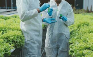 hembra científico examinando un plantas en invernadero granja. científicos participación equipo para investigación planta en orgánico granja. calidad controlar para hidroponia vegetal granja. foto