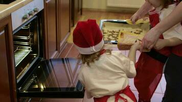 Mother and two small children are about to take just prepared Christmas biscuits from the stove video