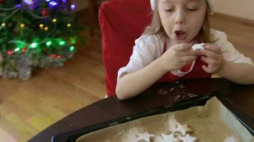 Twins share Christmas cookies video