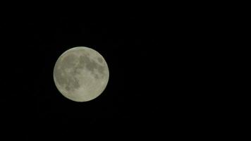 voll Mond hinter schnell Vorbeigehen durch Wolken mit Negativ Raum video