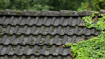 Aerial view of a rooftop of a house after rain video