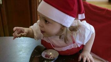 Brother and sister are sharing Christmas biscuits video