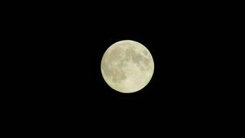 plein lune derrière vite qui passe par des nuages avec négatif espace video