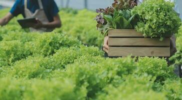 investigadores en hidropónico vegetal jardines son coleccionar muestras a prueba vegetales crecido desde investigación agua y examinando el agua usado para creciente hidropónico vegetales en el granja. foto