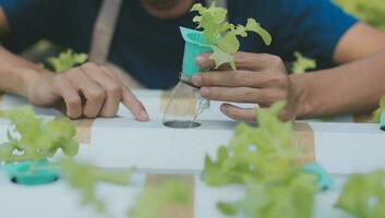 investigadores en hidropónico vegetal jardines son coleccionar muestras a prueba vegetales crecido desde investigación agua y examinando el agua usado para creciente hidropónico vegetales en el granja. foto