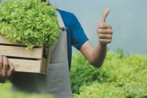 Researchers in hydroponic vegetable gardens are collecting samples to test vegetables grown from research water and examining the water used for growing hydroponic vegetables on the farm. photo