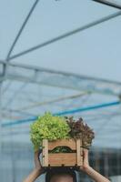 Researchers in hydroponic vegetable gardens are collecting samples to test vegetables grown from research water and examining the water used for growing hydroponic vegetables on the farm. photo