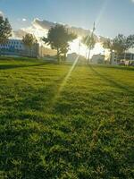 ambiental maravillas de puesta de sol en verde césped foto