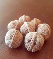 World of walnut seeds to grow walnuts photo