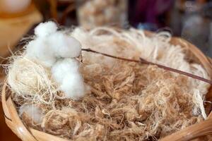 Cotton flowers and natural fibers from cotton in bamboo baskets are used to make yarn for weaving.soft and selective focus. photo