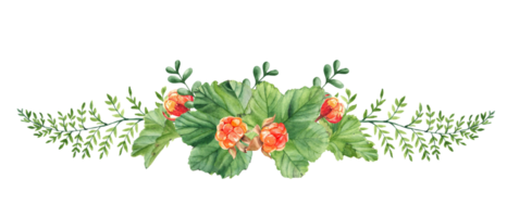 Watercolor garland summer bouquet. Cloudberry leaves, berries, green branches. Botanical hand drawn illustration. For greeting cards, invitations, logos. png