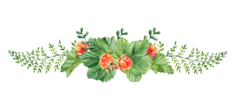 acquerello ghirlanda estate mazzo. cloudberry foglie, frutti di bosco, verde rami. botanico mano disegnato illustrazione. per saluto carte, inviti, loghi. png