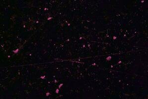 Unique real texture rough pattern image abstract background art photo