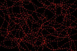 Red dotted line texture dynamic particle effect smooth straight lined background photo