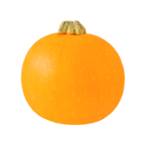 Orange pumpkin isolated on transparent background with shadow and reflection. Stock photo png