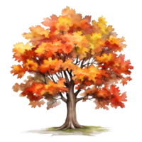 Fall Autumn Tree Watercolor Clipart AI Generated png