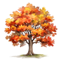 vallen herfst boom waterverf clip art ai gegenereerd png