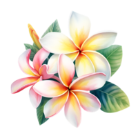 plumeria blommor vattenfärg ClipArt ai genererad png