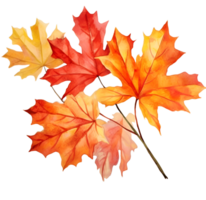 Fall Autumn Leaves Leaf Watercolor Clipart AI Generated png