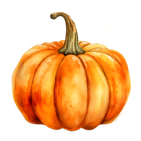 Pumpkin Watercolor Clipart AI Generated png