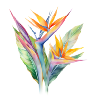 pássaro do paraíso flor aguarela clipart ai gerado png