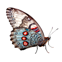 hermosa mariposa aislado.saturnia pavonia.turquesa mariposa.polilla. ai generado png