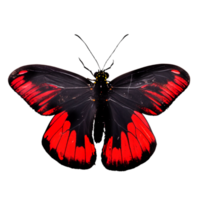 skön fjäril isolerad.atrophaneura pandiyana.moth.red svart fjäril. ai generation png