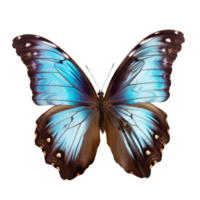 hermosa mariposa aislado.morpho peleida .azul mariposa.polilla. ai generado png