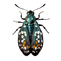 mooi vlinder geïsoleerde.callimorpha quadripunctaria.mot.groen vlinder ai generatie png