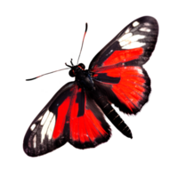 magnifique papillon isolé.atrophaneura pandiyana.moth.rouge noir papillon. ai génération png