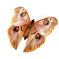 hermosa mariposa aislado.antheraea pernyi.brown mariposa.polilla. ai generado png