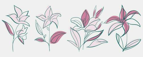 Lily flower Set of hand drawn shapes and doodle design elements. Exotic leaves, flowers plants vector