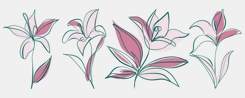 Lily flower Set of hand drawn shapes and doodle design elements. Exotic leaves, flowers plants vector