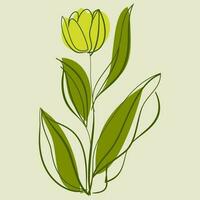 Tulip Flower Contemporary Minimalist Line Art Posters Abstract Organic Shapes and Floral Designs vector