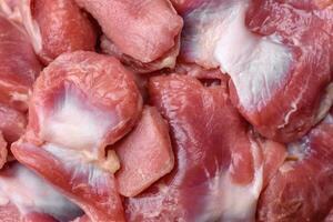 Raw chicken or turkey gizzards with salt, spices and herbs photo