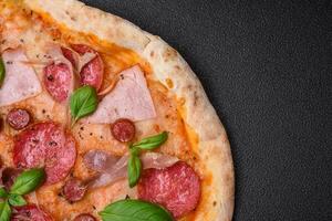 Delicious fresh oven baked pizza with salami, meat, cheese, tomatoes photo