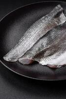 Raw sea bass fish fillet with salt, spices and herbs on a ceramic plate photo