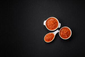 delicioso picante tomate salsa con pimienta, ajo, sal, especias y hierbas foto