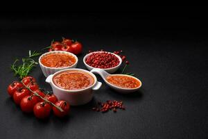 delicioso picante tomate salsa con pimienta, ajo, sal, especias y hierbas foto