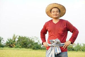 Handsome Asian farmer wears hat, red shirt, stands at paddy field. Put hands on waist.Confident. Concept, agriculture occupation. photo